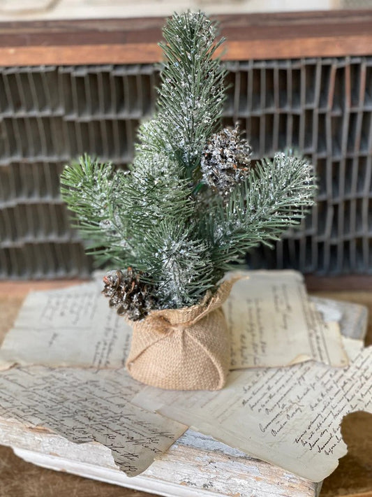 Frosted Zion Pine Tree