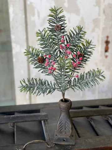 Winter Jewel Hemlock Pick