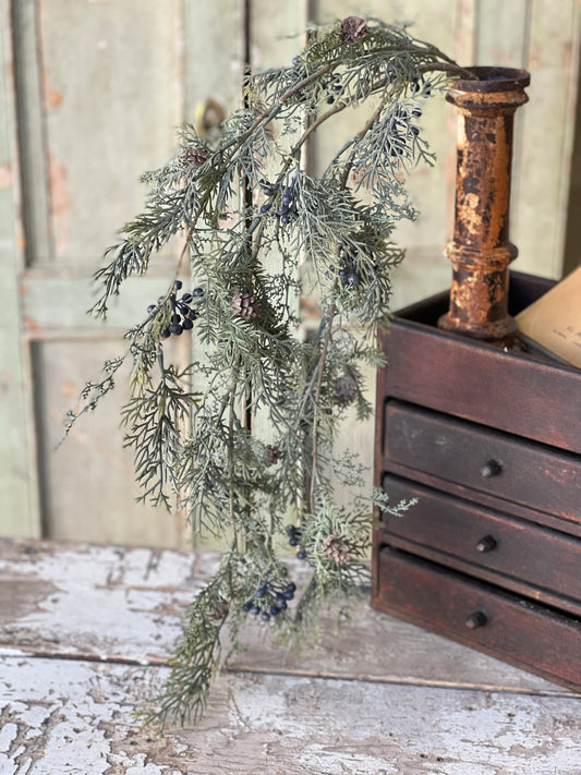 Siberian Cypress Hanging Stem