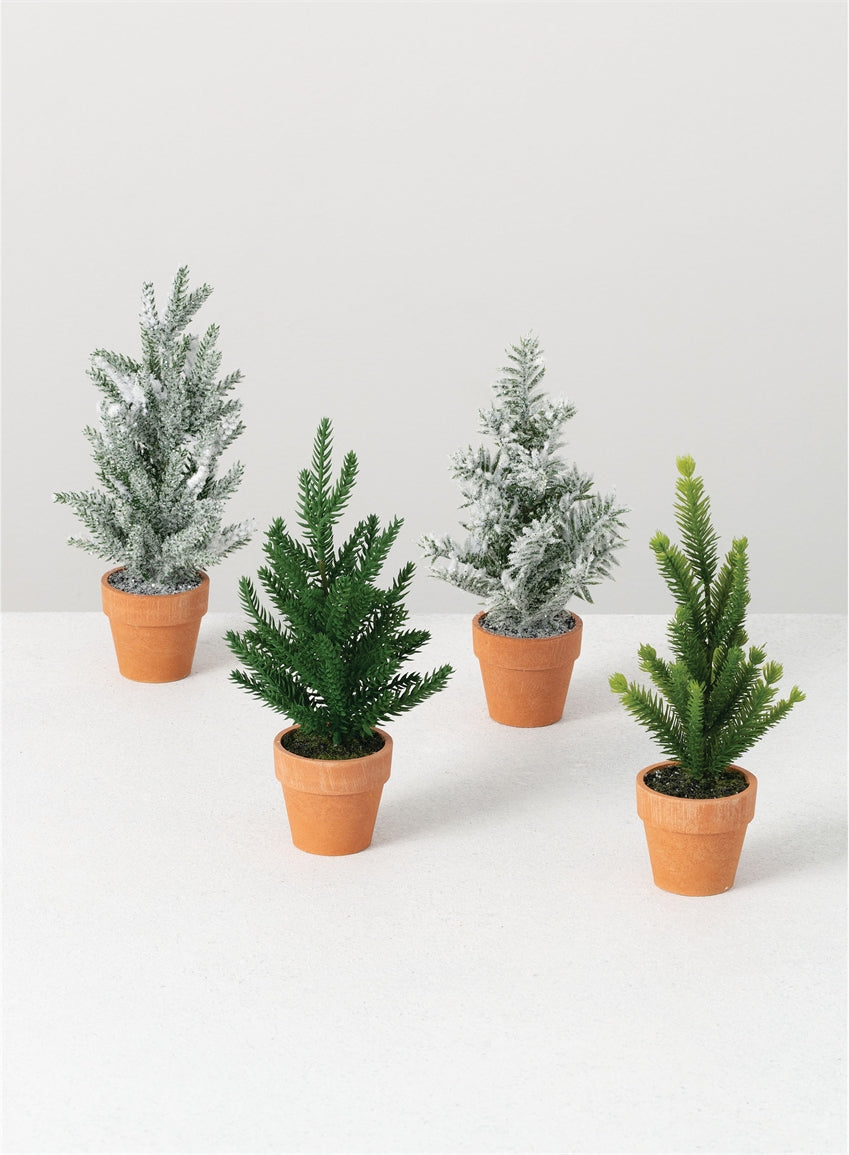 Mini Potted Trees*