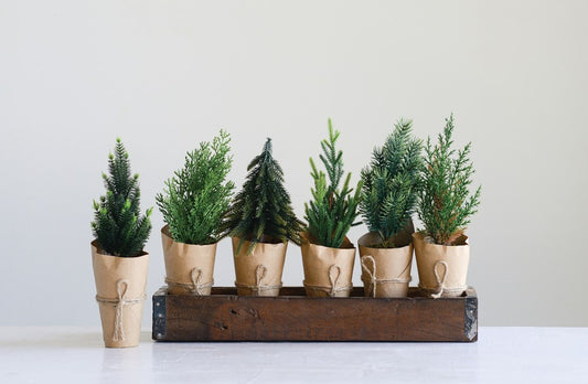 Tree in Paper Wrapped Pot